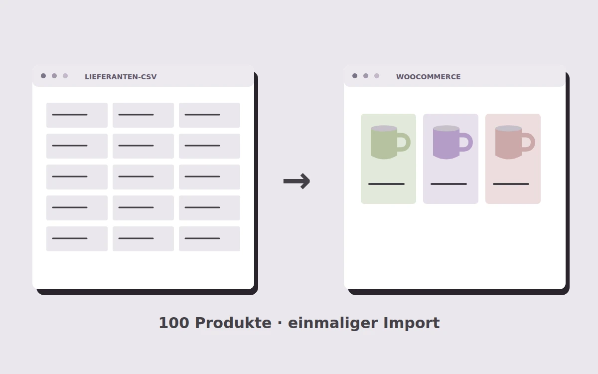 Gestaltungsbeispiel: Lieferanten-CSV einmalig importieren – 100 Produkte